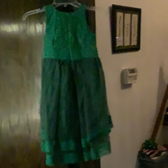 NWT Trish Scully emerald delphine high low dress - Picture 5 of 7